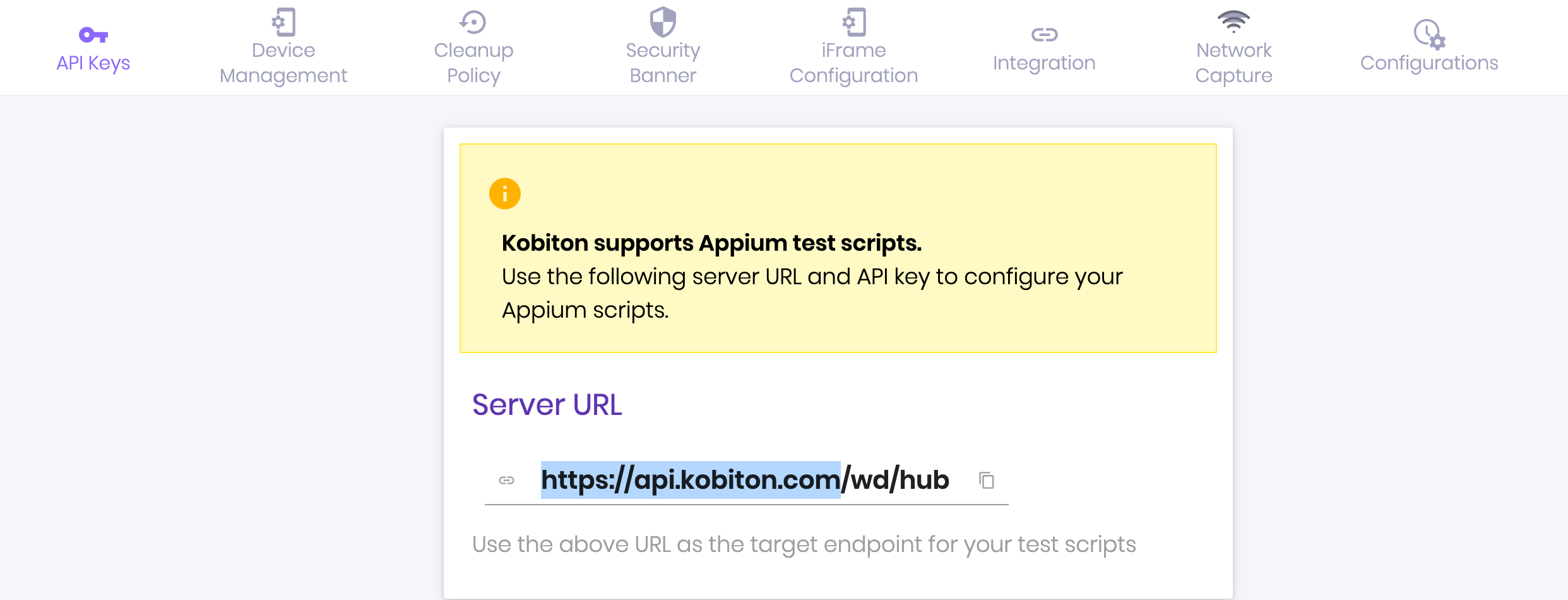 Note down the API Server URL