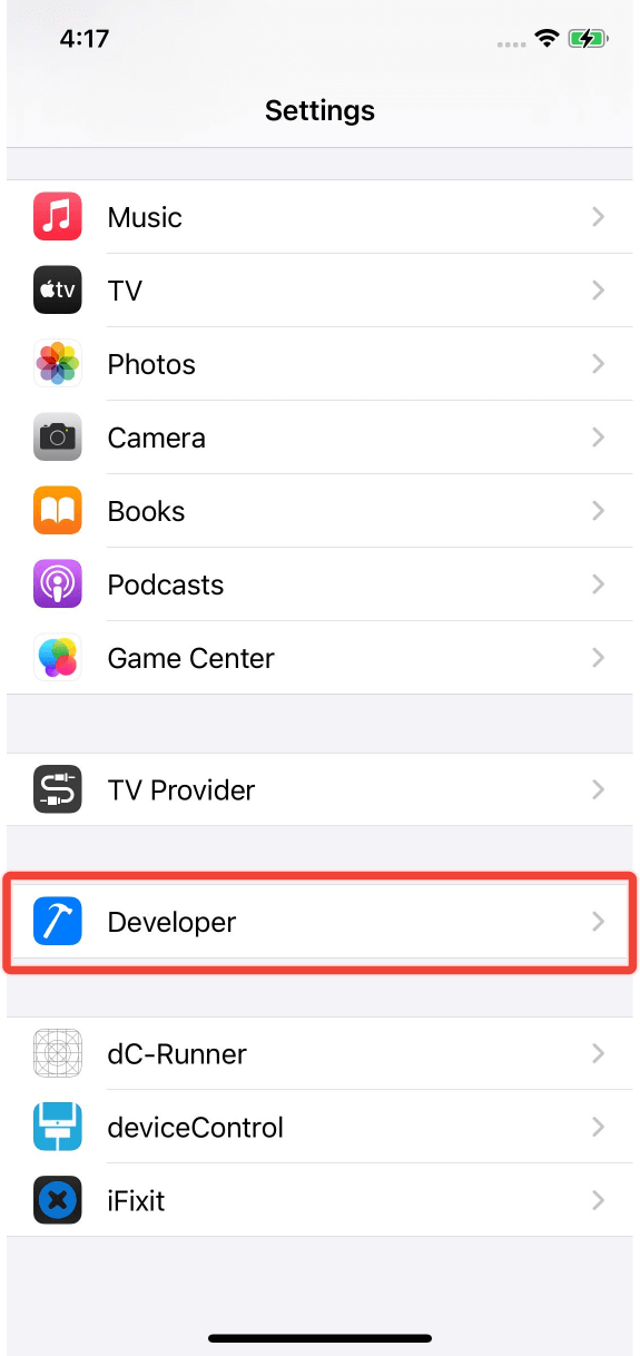 The Developer option under Settings in iOS below 16 device