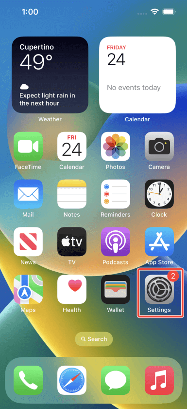 The Settings app on the home screen