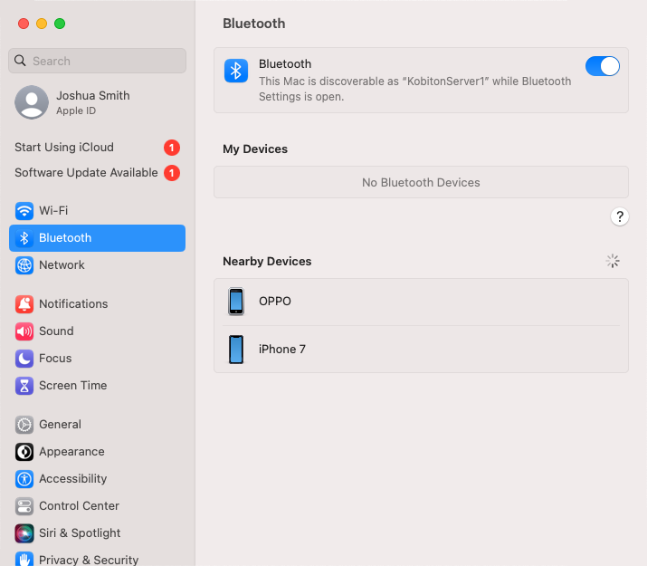 Open System Preferences and select Bluetooth