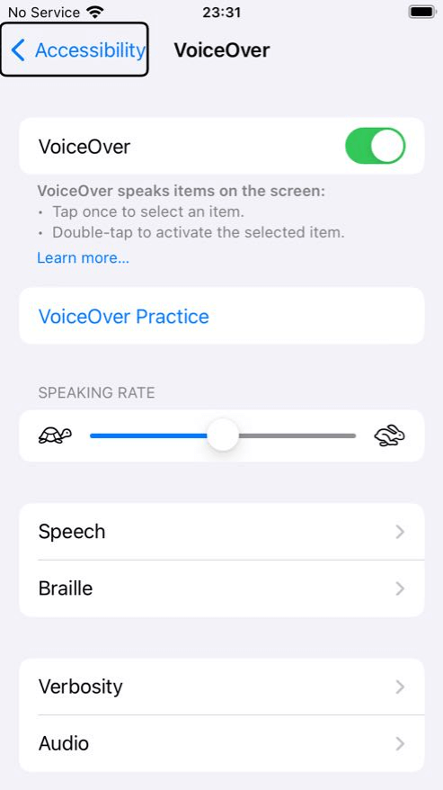 Go to Settings and select Accessibility, then turn on Voiceover