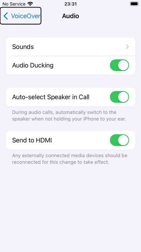 Select Audio and turn on Send to HDMI