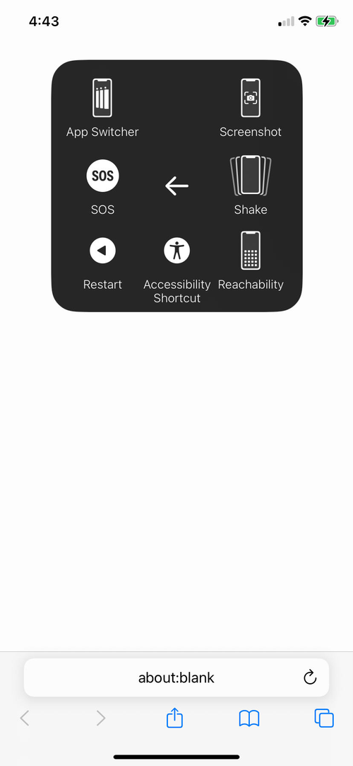 The Shake option in the AssistiveTouch More menu