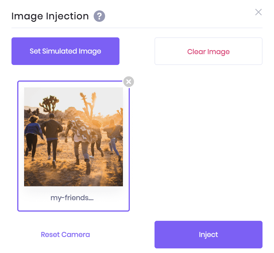 A close-up of the image injection library containing one image.