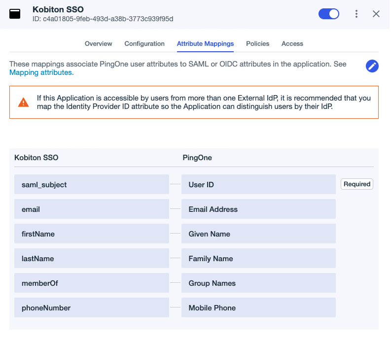 ping attribute mappings